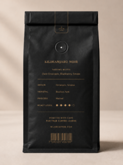 kilimanjaro noir