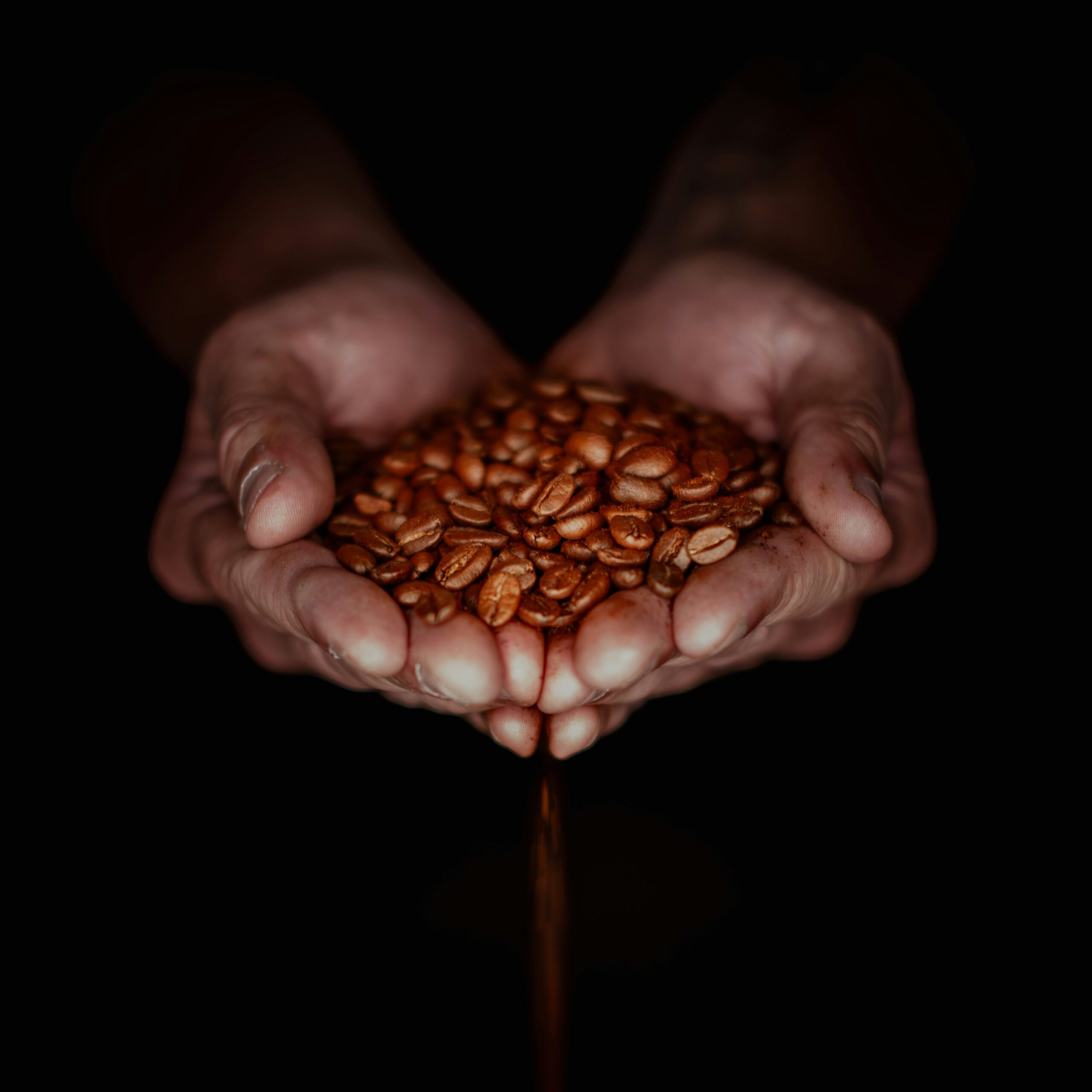 denny muller sc2xwdeqg94 unsplash