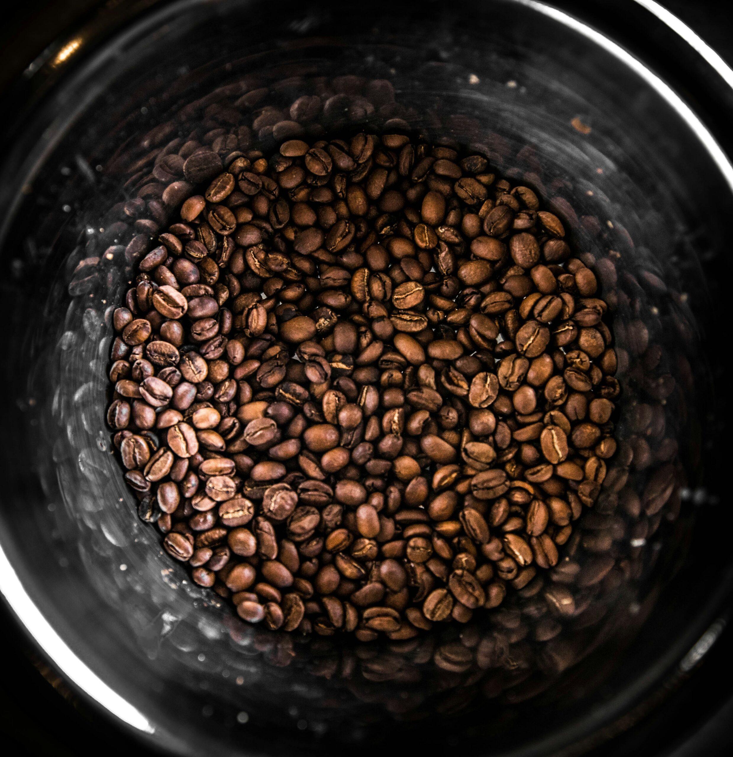 matthew pablico 6lah9llqje4 unsplash